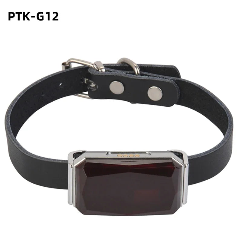 Waterproof GPS Tracker Pet Collar – Keep Your Pets Safe Anywhere, Anytime!