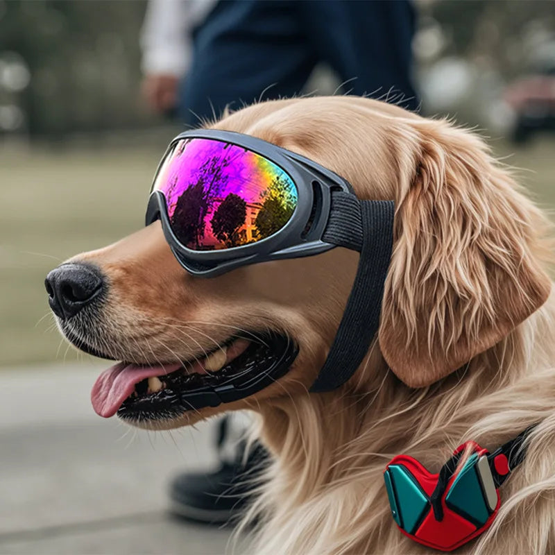 Adjustable Anti-UV Dog Goggles – Waterproof Pet Sunglasses for Eye Protection, Windproof & Sunproof Eyewear for Small to Large Dogs