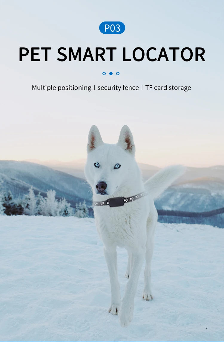 Waterproof GPS Tracker Pet Collar – Keep Your Pets Safe Anywhere, Anytime!