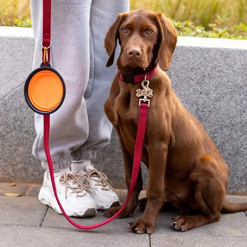 PetCurdle™ Travel Pet Bowl – Foldable & Leak-Proof for Dogs & Cats