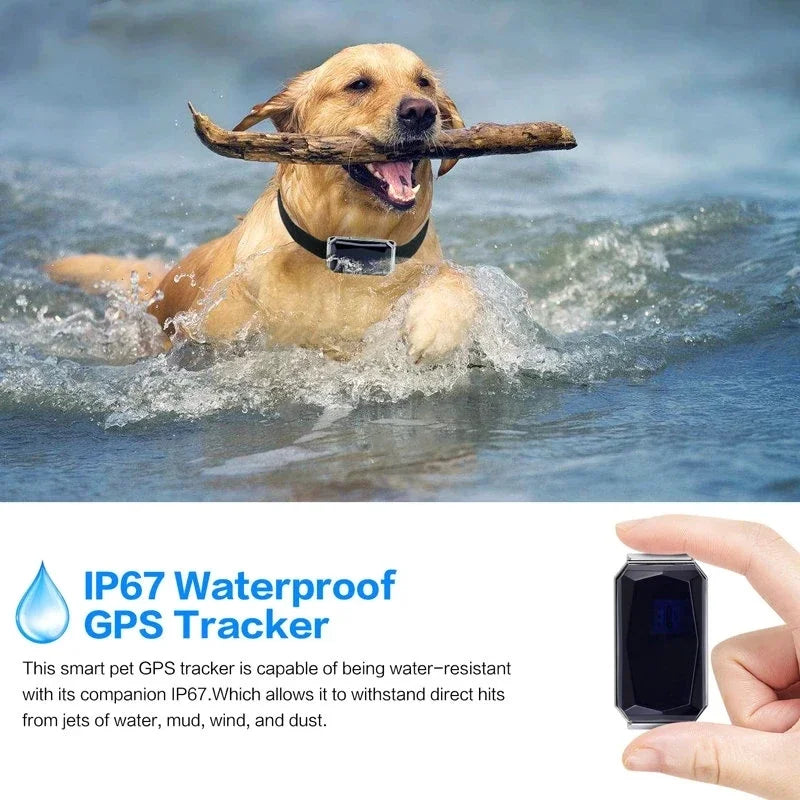 Waterproof GPS Tracker Pet Collar – Keep Your Pets Safe Anywhere, Anytime!