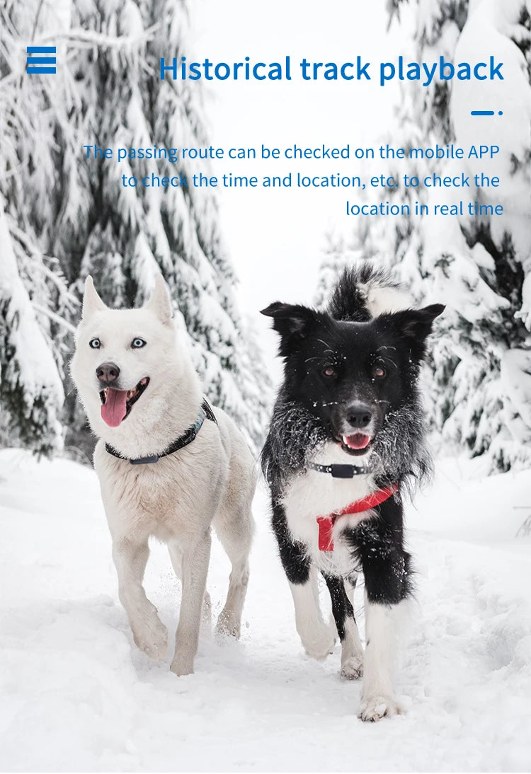 Waterproof GPS Tracker Pet Collar – Keep Your Pets Safe Anywhere, Anytime!