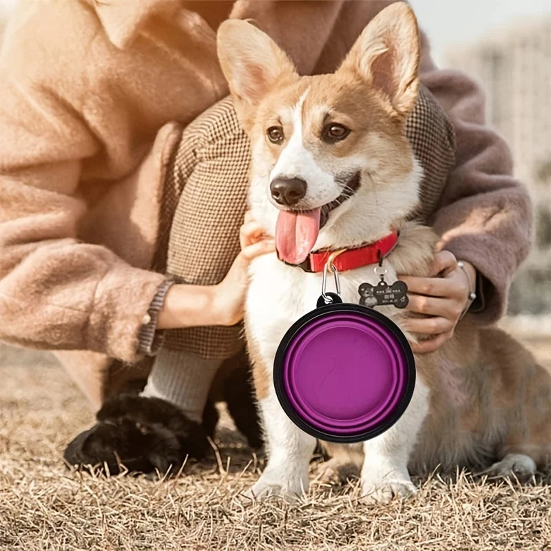 PetCurdle™ Travel Pet Bowl – Foldable & Leak-Proof for Dogs & Cats
