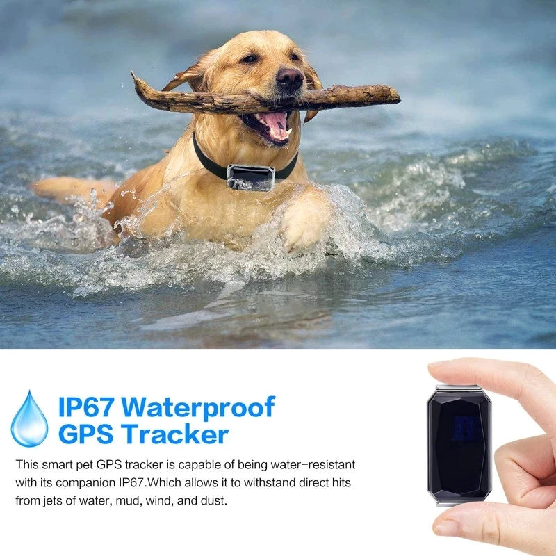 Waterproof GPS Tracker Pet Collar – Keep Your Pets Safe Anywhere, Anytime!