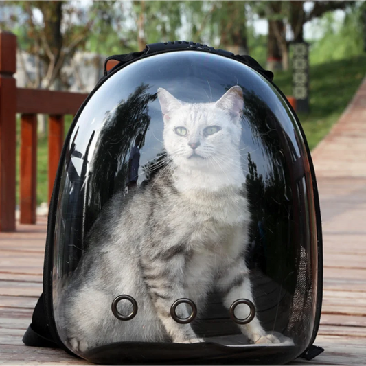 Pet Travel Backpack – Transparent Bubble Carrier for Cats & Small Pets