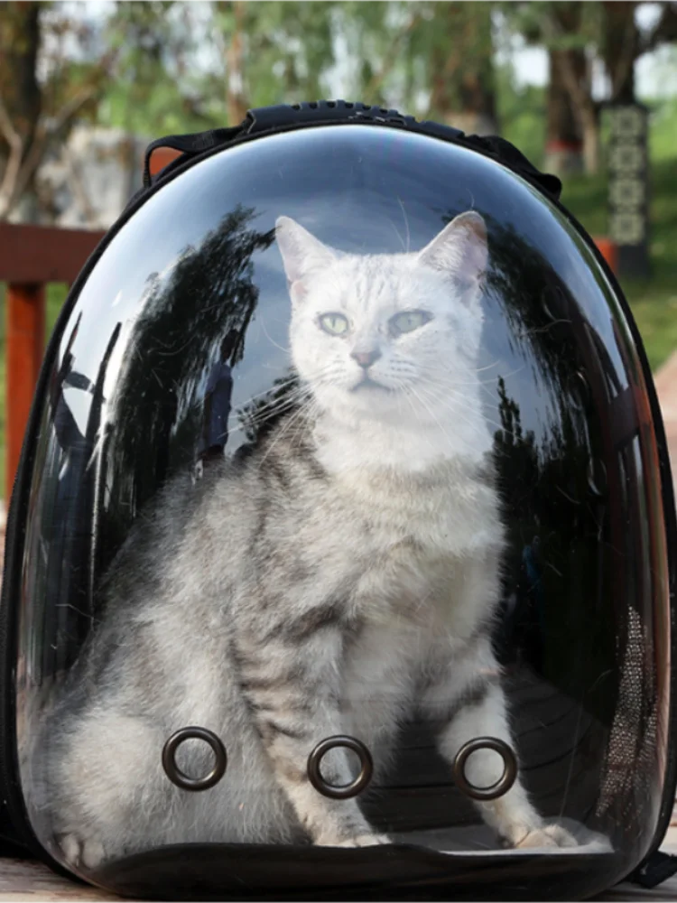 Pet Travel Backpack – Transparent Bubble Carrier for Cats & Small Pets