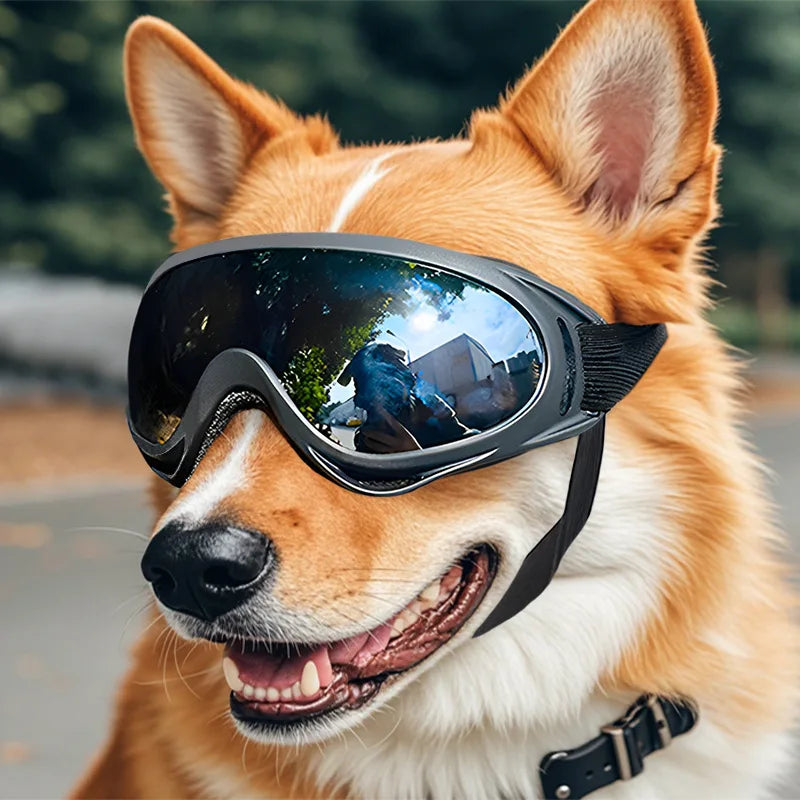 Adjustable Anti-UV Dog Goggles – Waterproof Pet Sunglasses for Eye Protection, Windproof & Sunproof Eyewear for Small to Large Dogs